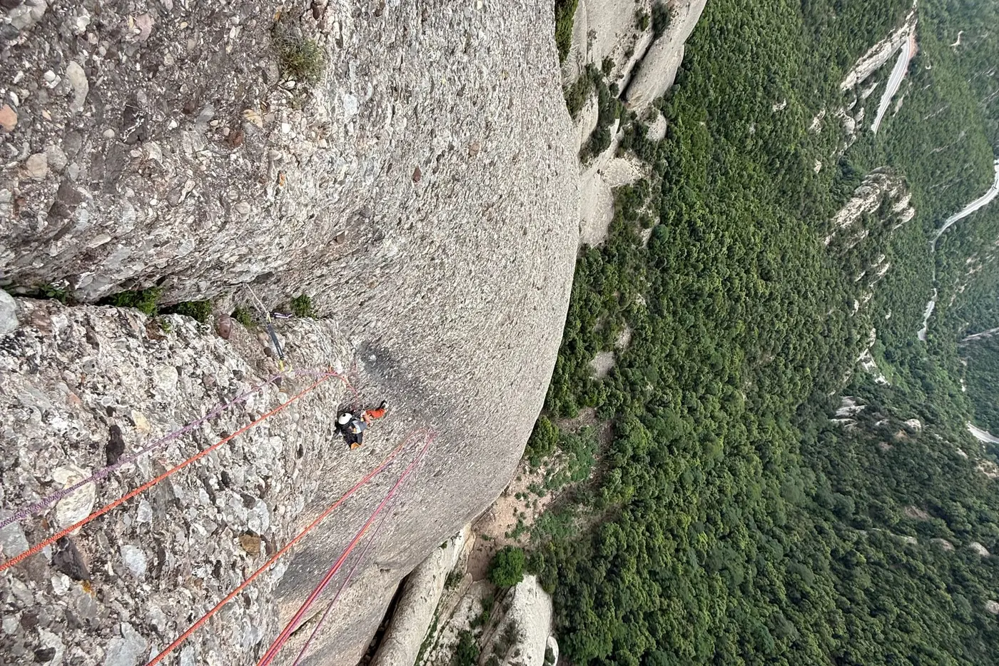 Looking down the ropes of a multi-pitch route, a climber at the stance far below and forest at the foot of the wall.
